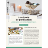 Les Rituels de Purification